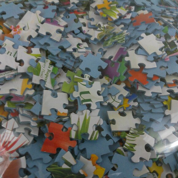 Eurographacs Cacti And Succulents 1000 Piece Jigsaw Puzzle - Picture 10 of 11